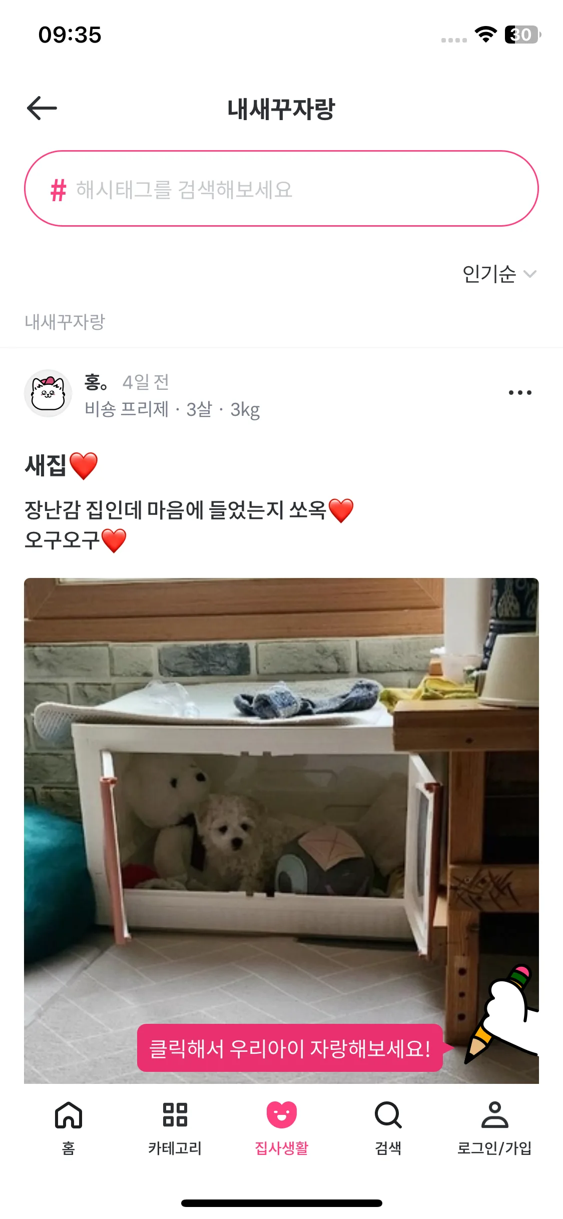 Test Image 8